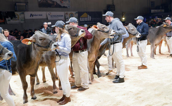 GP von Sargans, St. Gallen, Schweiz.