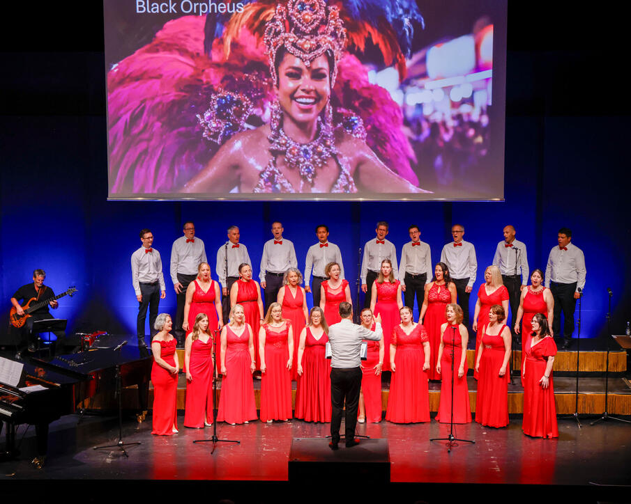 Jubil&auml;umskonzert &laquo;30 Jahre Divertimento Chor&raquo;. 20.06.2026.