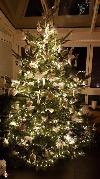 Tante Jannys Tannenbaum