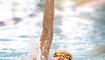 Landesmeisterschaft Schwimmen 2025