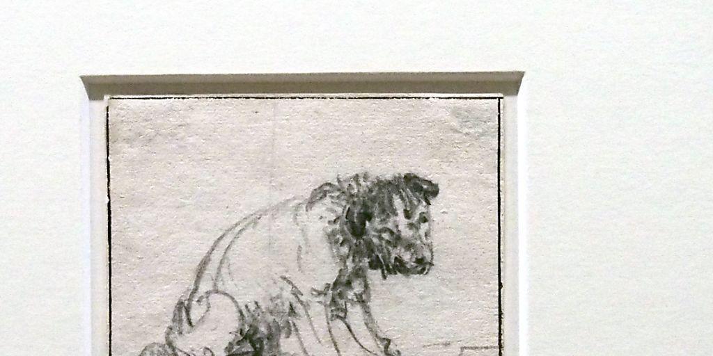Im Herzog Anton Ulrich-Museum in Braunschweig ist eine Tierzeichnung entdeckt worden, die nach neuen Untersuchungen dem niederländischen Barock-Maler Rembrandt van Rijn (1606-1669) zugeordnet wird. Im Herzog Anton Ulrich-Museum in Braunschweig ist eine Tierzeichnung entdeckt worden, die nach neuen Untersuchungen dem niederländischen Barock-Maler Rembrandt van Rijn (1606-1669) zugeordnet wird.
