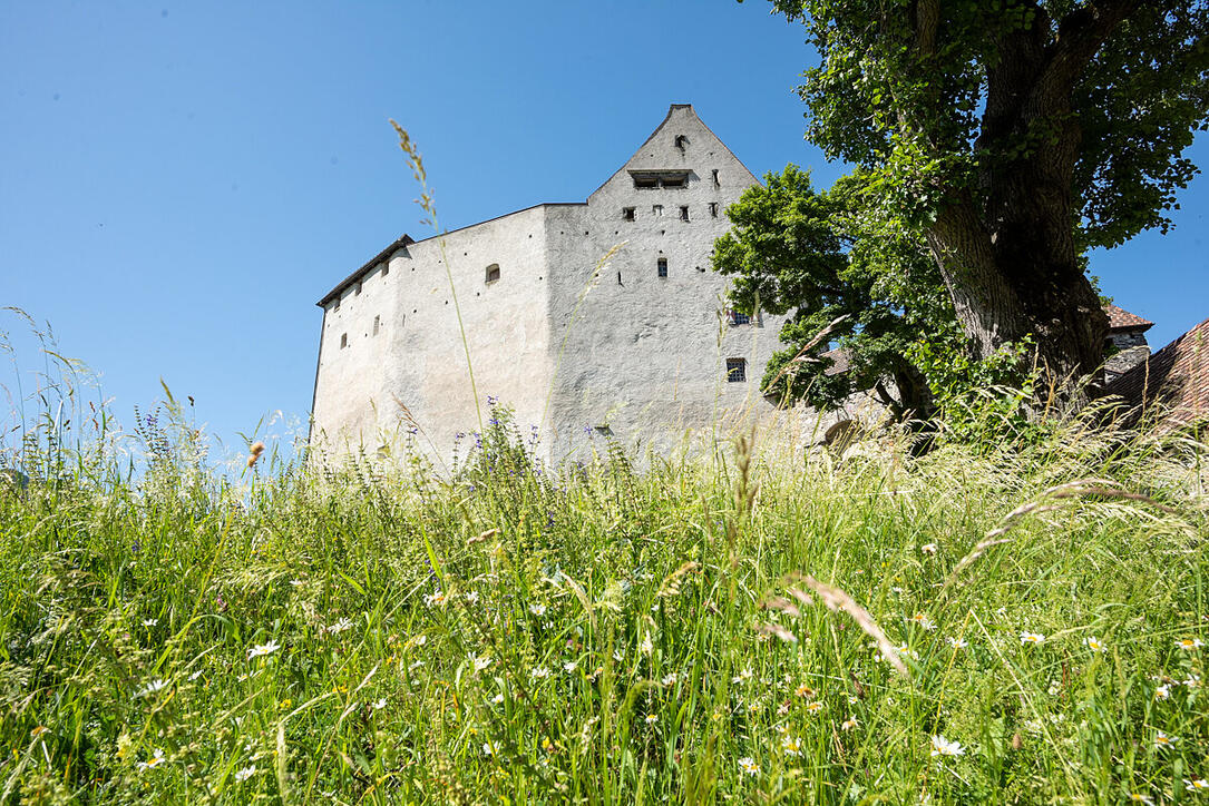 4. Gartenschau Gutenberg in Balzers