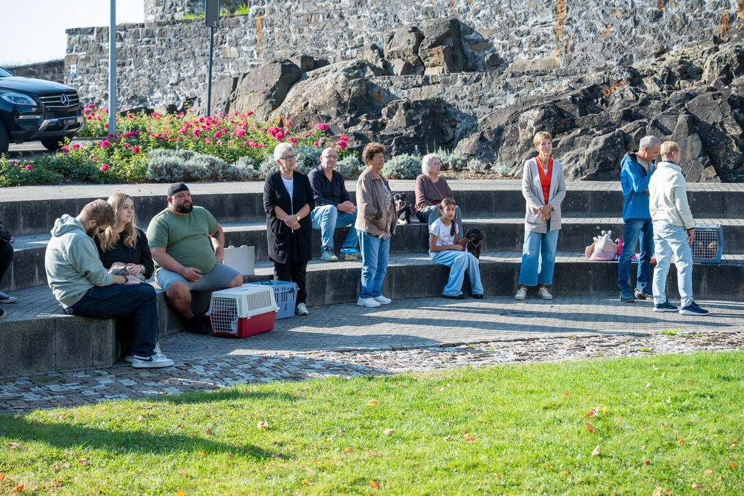 Tiersegnung in Gamprin (03.10.2026)