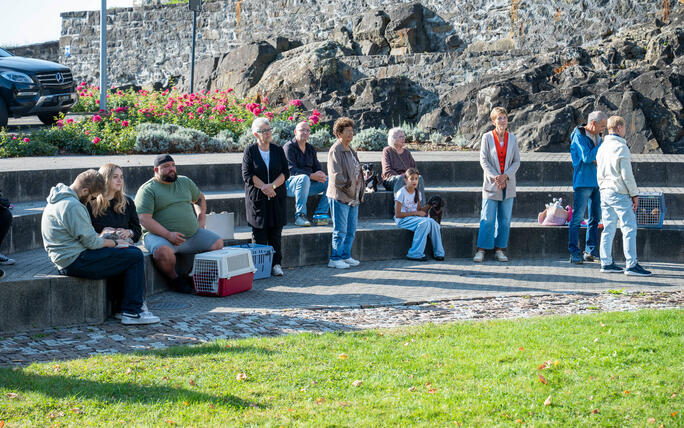Tiersegnung in Gamprin (03.10.2026)