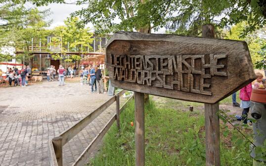 Frühingsfest Waldorfschule, Schaan