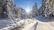 Winter in Steg