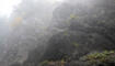 Herbst im Land