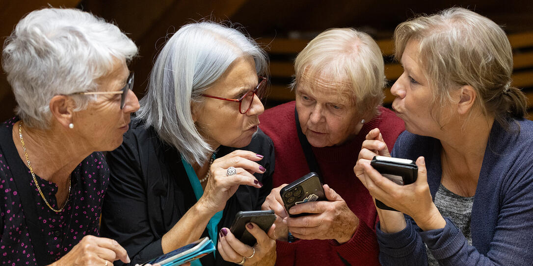 Probe Theatercompany 2026 - Die Verwandlung