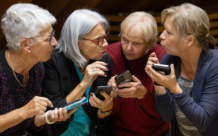 Probe Theatercompany 2026 - Die Verwandlung