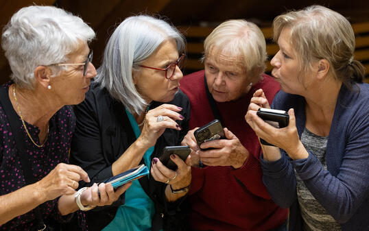 Probe Theatercompany 2026 - Die Verwandlung