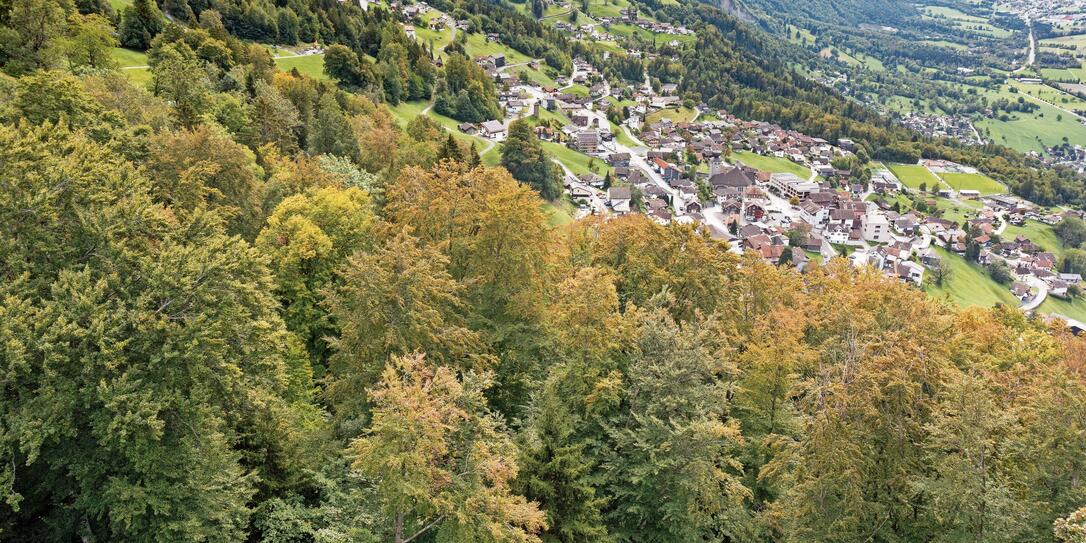 260918 Wie setzt die Trockenheit/Hitze dem Wald zu - mit Olav Be