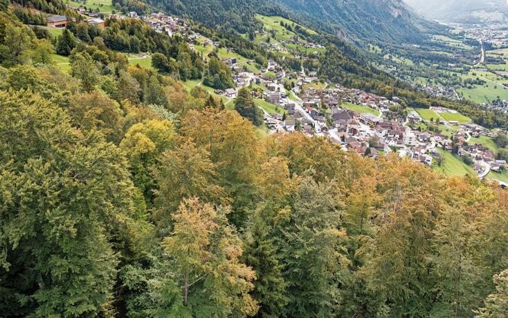 260918 Wie setzt die Trockenheit/Hitze dem Wald zu - mit Olav Be