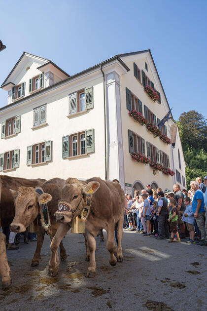 Alpabfahrt in Mels