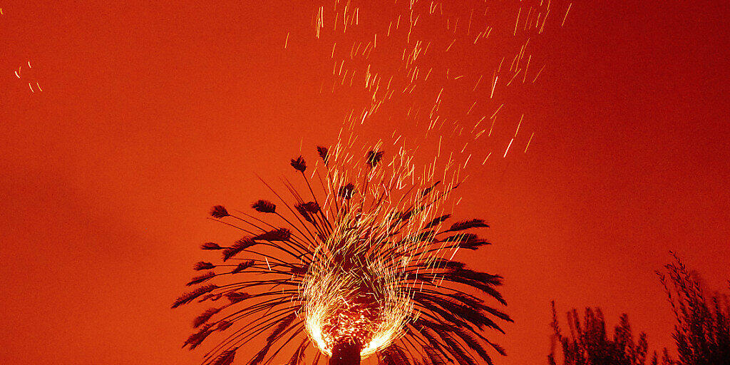 ARCHIV - Funken fliegen bei einem Buschfeuer, dem Glass-Feuer, aus einer brennenden Palme. Seit der Jahrtausendwende sind nach einem UN-Bericht deutlich mehr Naturkatastrophen passiert als in den 20 Jahren davor. Foto: Noah Berger/AP/dpa