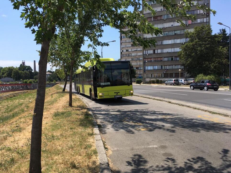 Liemobil-Busse in aller Welt unterwegs