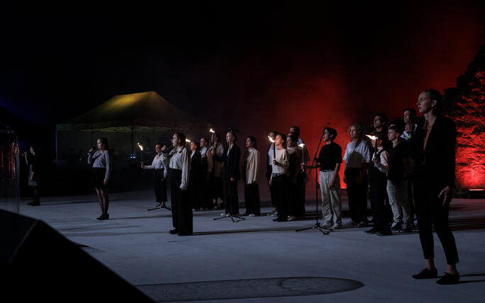 The Princely Liechtenstein Tattoo in Schellenberg