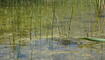 #näherdran-Fotowettbewerb Gamprin-Bendern