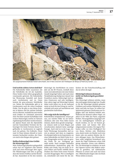 Seite 017 Seite 017