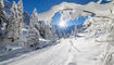 Winter in Steg