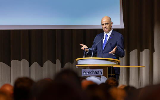 Europarat Vortrag in Schaan