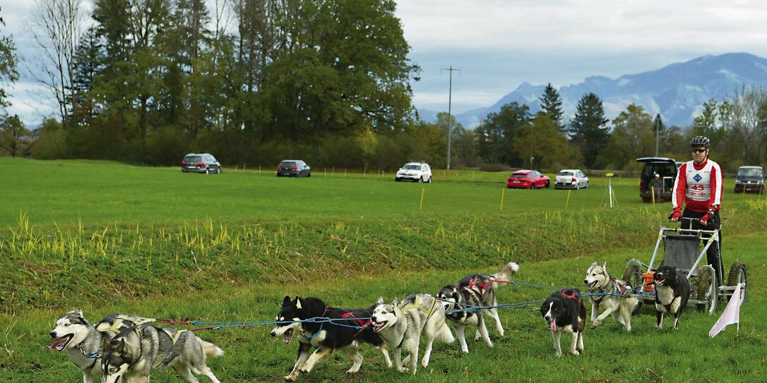 Schlittenhunde Rennen Sennwald 03