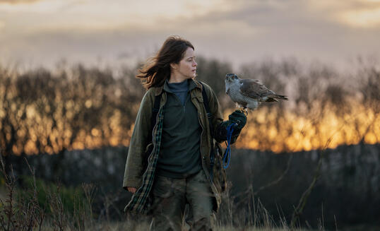 H Is for Hawk