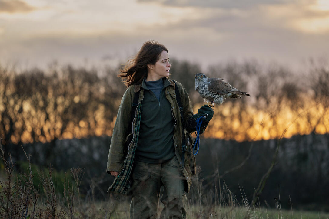 H Is for Hawk