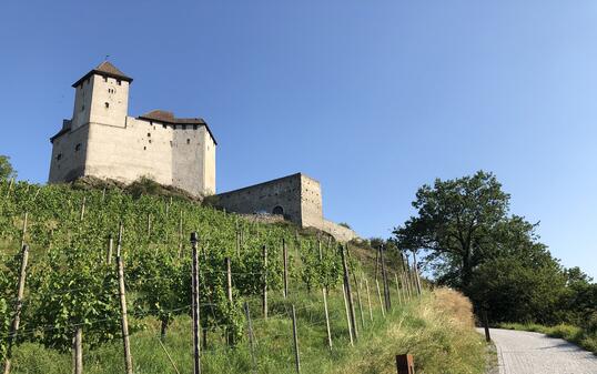 Burg Gutenberg