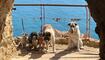 Gruppenfoto am Torre del Pirulico bei Mojácar - Spanien