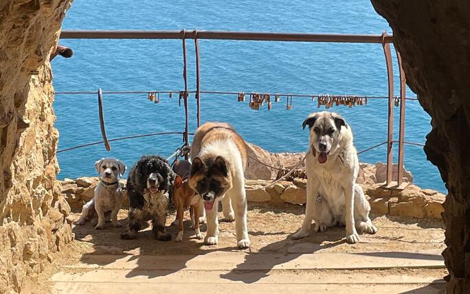 Gruppenfoto am Torre del Pirulico bei Mojácar - Spanien