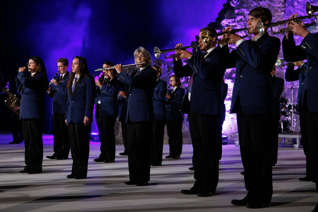 The Princely Liechtenstein Tattoo in Schellenberg