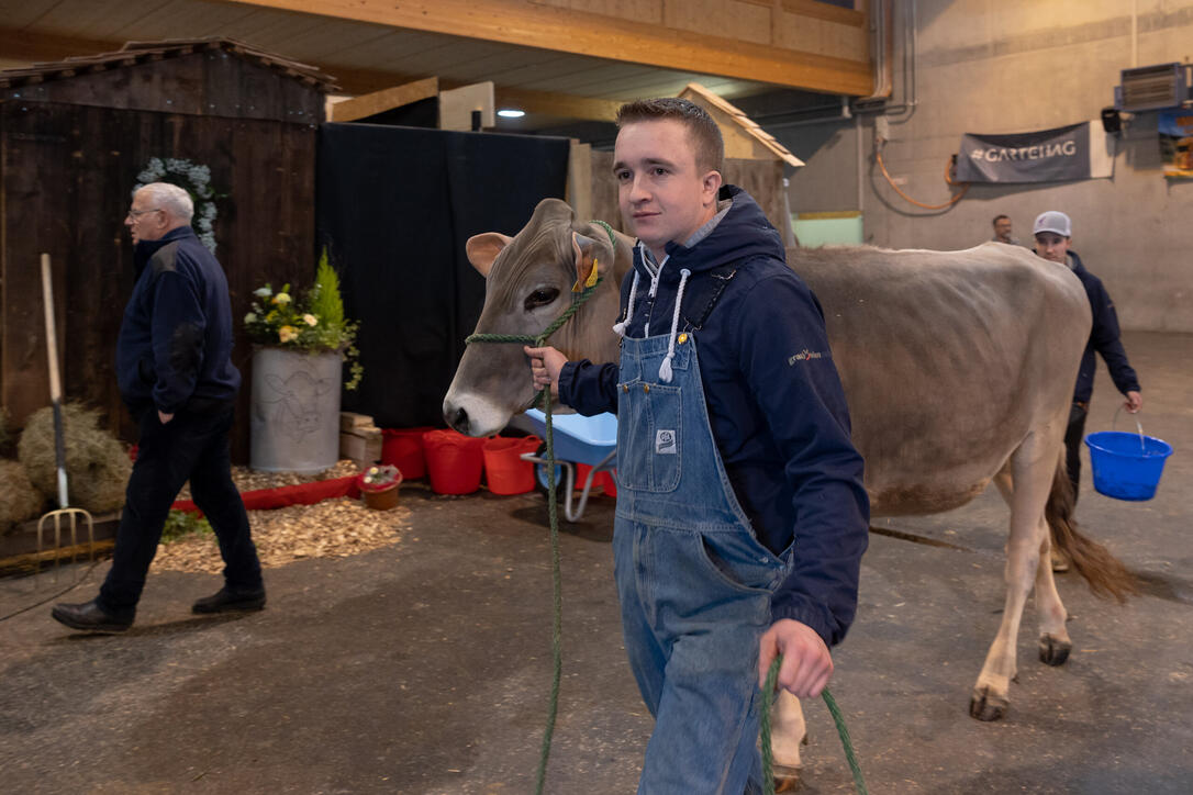 Braunvieh Junior Contest in Sargans