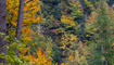 Herbst im Land