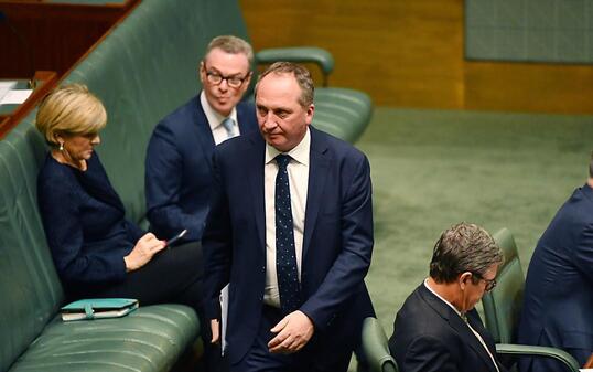 Vizeregierungschef Barnaby Joyce hat neben der australischen auch die neuseeländische Staatsbürgerschaft. Dies könnte ihm sein Parlamentsmandat kosten - und der Regierung die Mehrheit im Repräsentantenhaus.