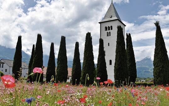 &laquo;Die Blumenwiese ist unglaublich sch&ouml;n und ein wunderbares Andenken an unsere Verstobenen&raquo;, lobte Astrid Oehri-Blum die Gemeinde Schaan.