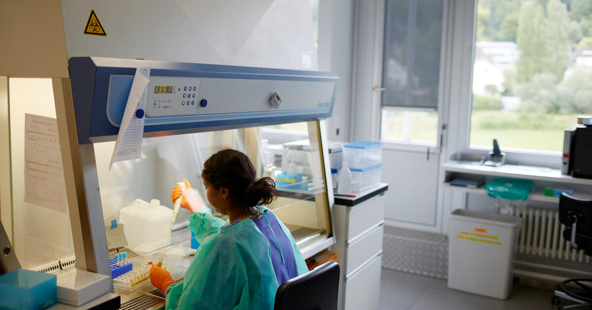 LaborKickbacks Krankenkassenverband rät Regierung, Überprüfung