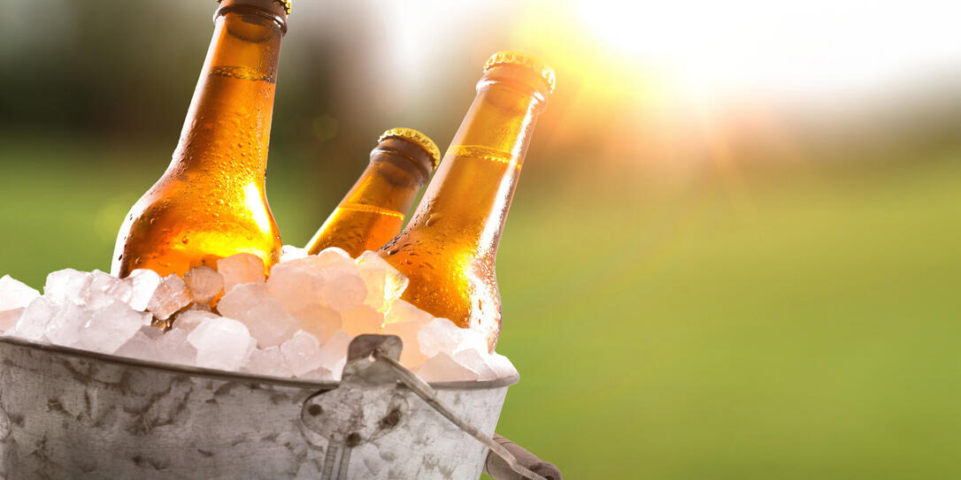 Three beer bottles in bucket full of ice cubes field