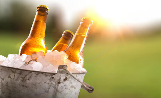 Three beer bottles in bucket full of ice cubes field