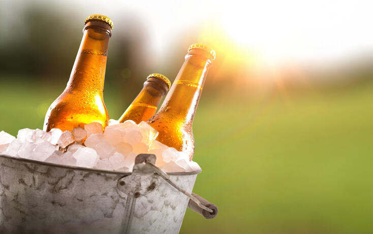 Three beer bottles in bucket full of ice cubes field