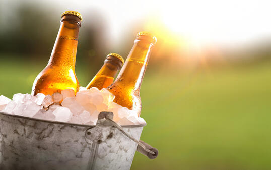 Three beer bottles in bucket full of ice cubes field