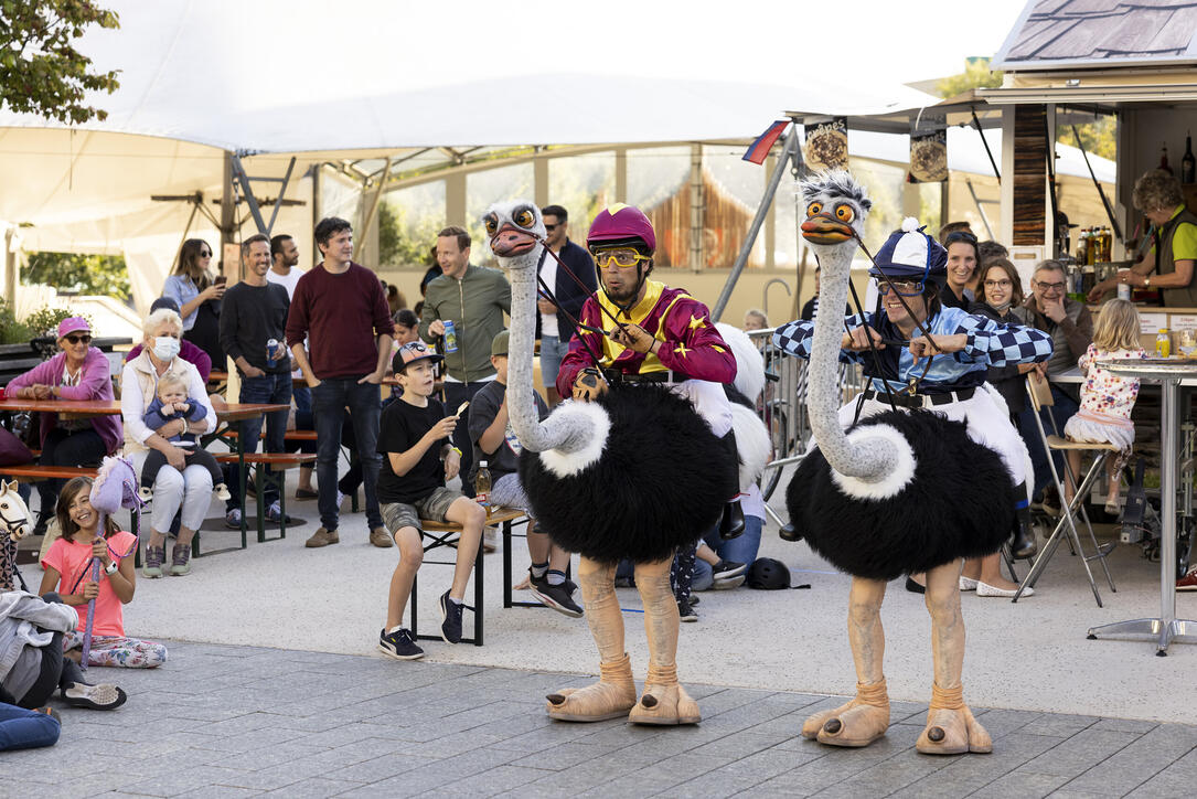 5. Buskers in Vaduz