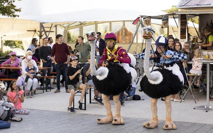 5. Buskers in Vaduz