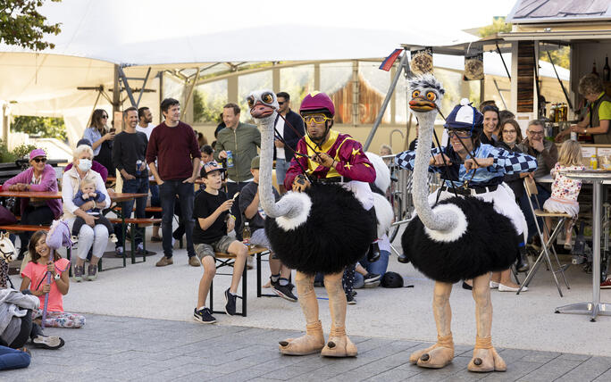 5. Buskers in Vaduz