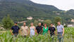 Kulinarik Feld Flurgang durch das Haberfeld in Vaduz (23.06.2026)