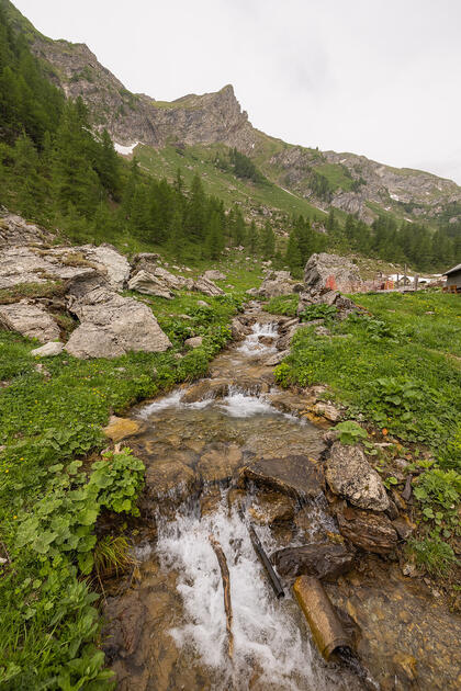 Wanderung: Steg - Alpeti - Pfälzerhütte - Malbun