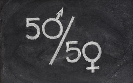 gender equal opportunity or representation