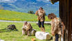 10. Sagenfest in Triesenberg (01.05.2025)