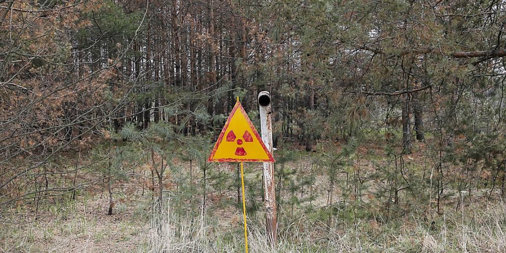 Ein Wald mit einem Warnschild ausserhalb von Tschernobyl. (Archivbild)