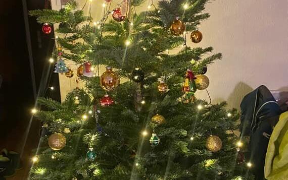 Fotowettbewerb: Zeig uns Deinen Christbaum 2022