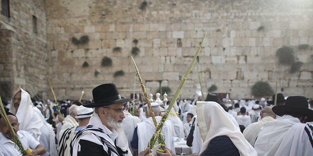 Orthodoxe Juden vor der Klagemauer bedecken sich den Kopf mit ihrem Gebetstuch und halten einen zu einem Feststrauss gebundenen Palmzweig in den Händen. Orthodoxe Juden vor der Klagemauer bedecken sich den Kopf mit ihrem Gebetstuch und halten einen zu einem Feststrauss gebundenen Palmzweig in den Händen.
